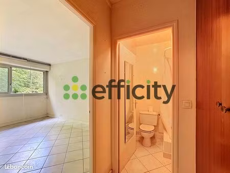 appartement 1 pièce 17 m²