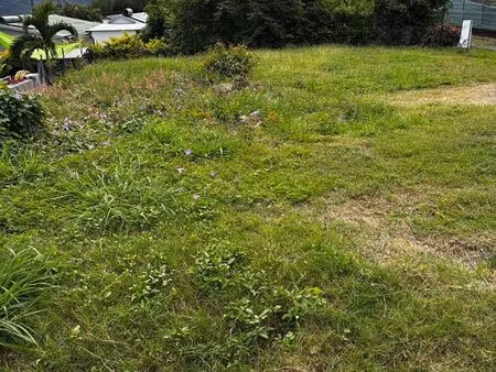 terrain constructible