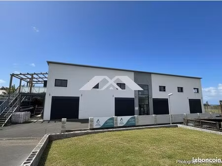 immeuble 900 m² le tampon