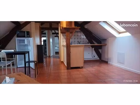 charmant appartement sous les combles
