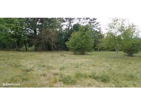 terrain 1 600 m² saint barthelemy de bellegarde