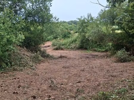 terrain a vendre près plage trez hir