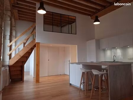 superbe loft canut entièrement rénové croix-rousse