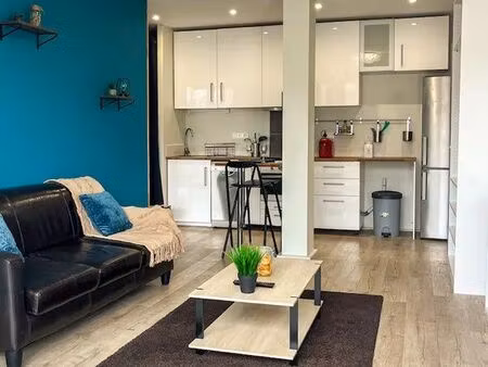 appartement 50m2 - t2 - monplaisir lumière