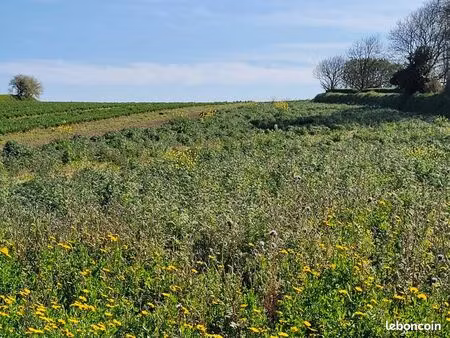 terrain 543 m² plouguerneau