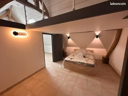appartement 41m2 refait à neuf  garage possible