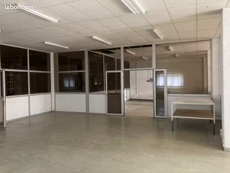 local d'activité 460 m²