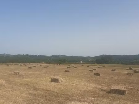 terre agricoles