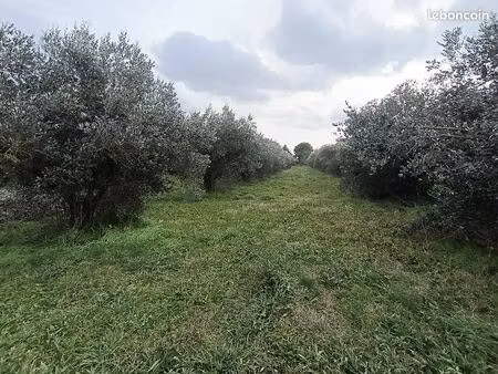 terrain 2700 m² saint-laurent-des-arbres