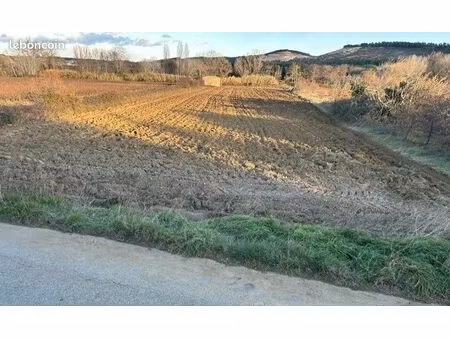 terrain agricole