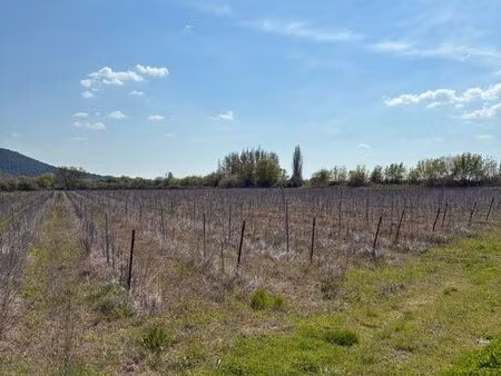 terrain agricole