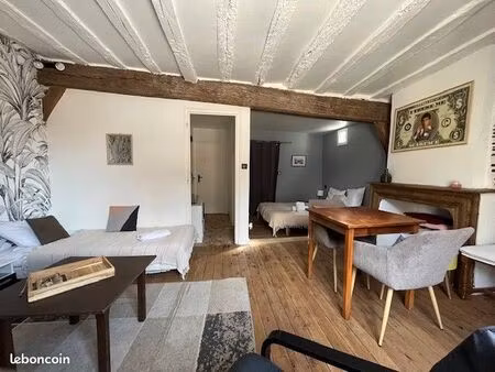 appartement meublé t2 loft dans petite résidence conviviale avec espaces communs