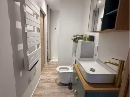 appartement centre ville morteau