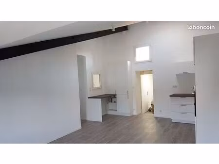 appartement t3 hypercentre