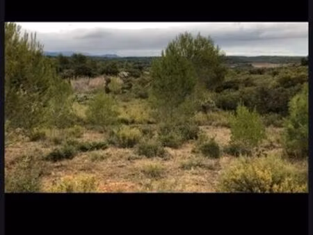 terrain agricol