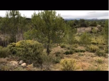 terrain agricole
