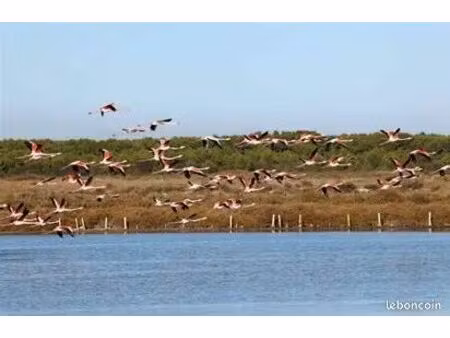 magnifiques parcelles de terre naturelle