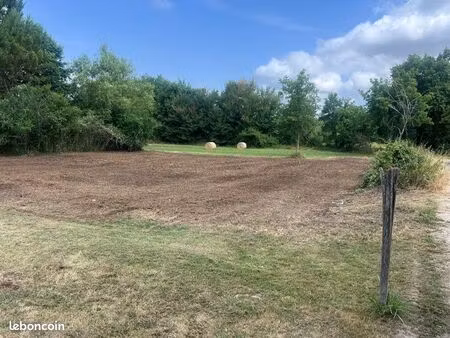terrain constructible
