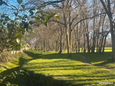 rare – terrain 1 116 m² en hyper-centre avec accès direct au parc du touch