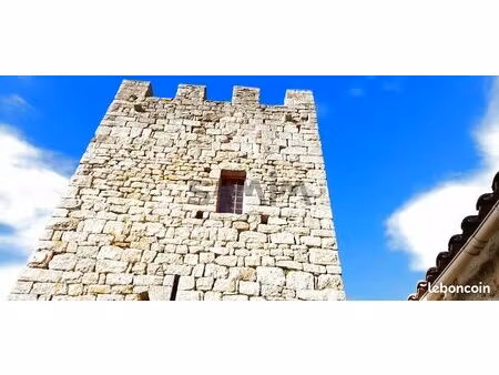 chateau 9 pièces 130 m²