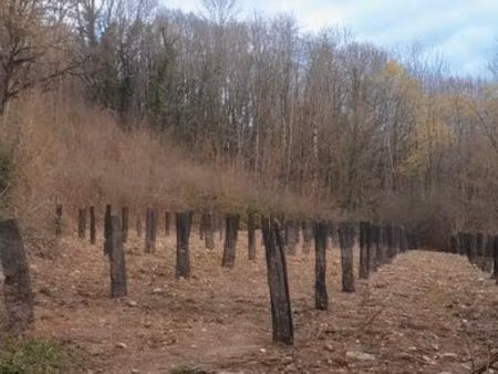 terrain 1800m2