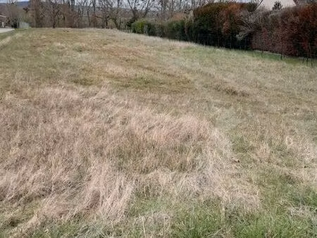 terrain 2069 m² tavant