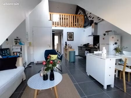 appartement t3 plein centre