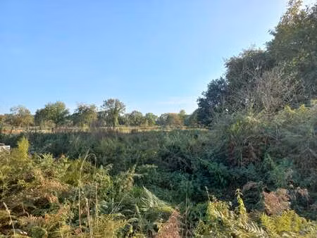 vente terrain au hinglé (22100) : à vendre / le hinglé