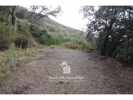 vente terrain 106625 m² à montbolo (66110)  25 500 €