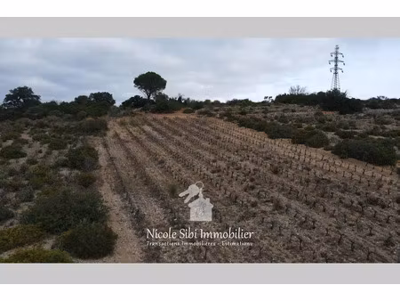 vente terrain 2880 m² à tautavel (66720)  3 500 €