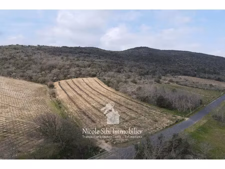 vente terrain 7731 m² à lansac (66720)  6 400 €