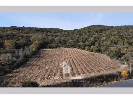 vente terrain 7897 m² à lansac (66720)  6 400 €