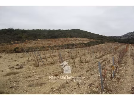 vente terrain 13501 m² à lesquerde (66220)  10 800 €