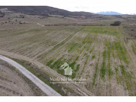vente terrain 23527 m² à montner (66720)  27 000 €