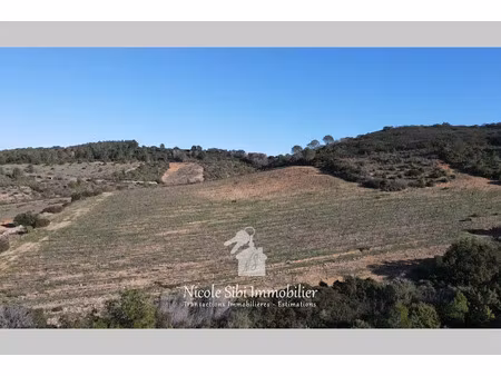 vente terrain 32050 m² à tautavel (66720)  21 000 €