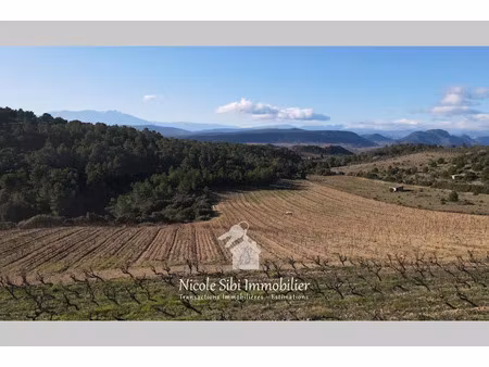 vente terrain 41295 m² à tautavel (66720)  26 000 €