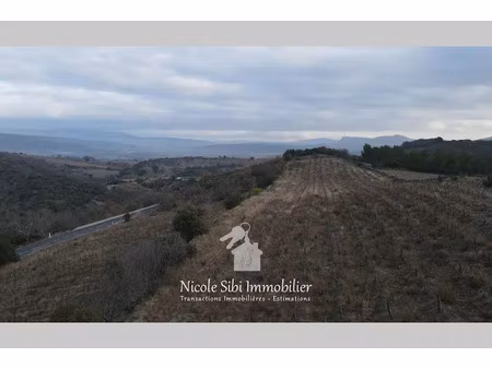 vente terrain 11940 m² à montner (66720)  10 500 €