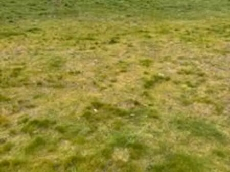 terrain 690 m² pissos