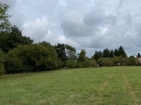 prairie pour montons ou chevaux
