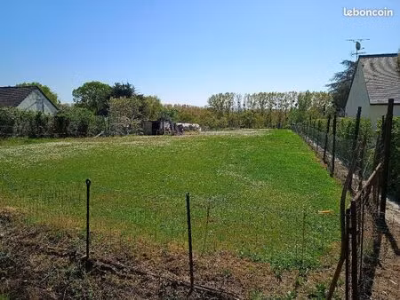 vends grand terrain de 1961 m2 partie constructible