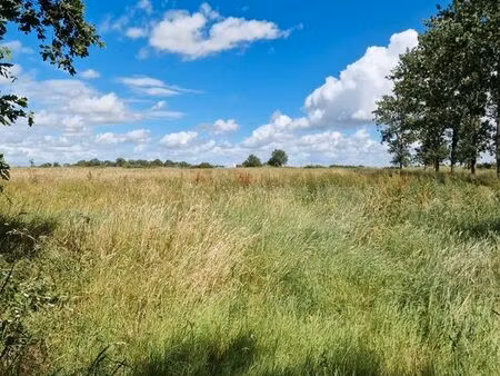 terrain agricole boisé