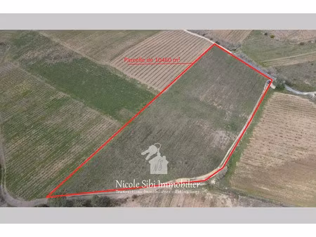 vente terrain 10460 m² à tautavel (66720)  17 500 €