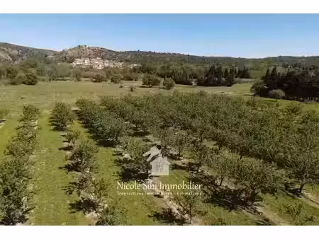 vente terrain 4825 m² à rodès (66320)  11 500 €