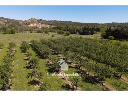 vente terrain 4825 m² à rodès (66320)  11 500 €