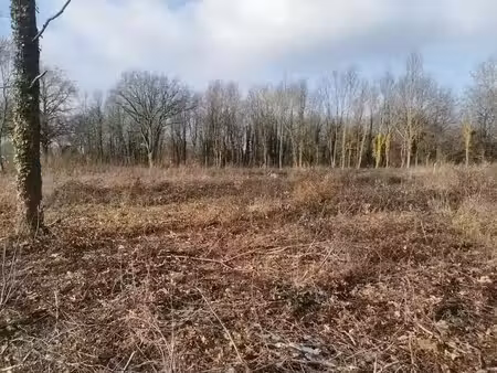 vente terrain 1711 m² à saint-etienne-de-vicq (03300)  28 700 €