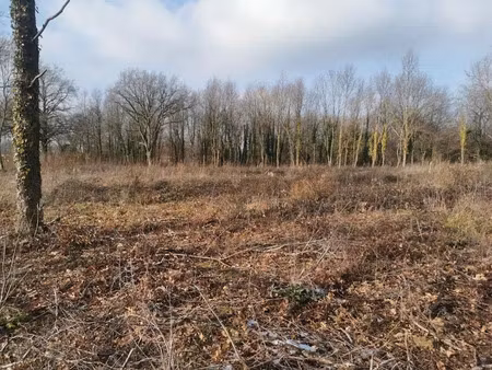 vente terrain 1711 m² à saint-etienne-de-vicq (03300)  28 700 €