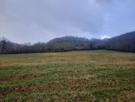 vente terrain 1341 m² à loubressac (46130)  33 525 €