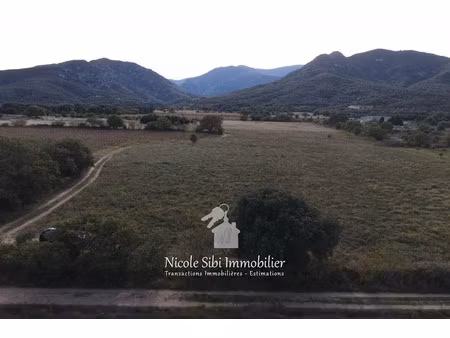 vente terrain 7544 m² à saint-andre (66690)  28 500 €