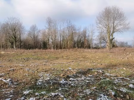 vente terrain 1876 m² à saint-etienne-de-vicq (03300)  29 560 €