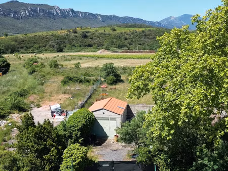 vente terrain 1500 m² à saint-paul-de-fenouillet (66220)  33 000 €